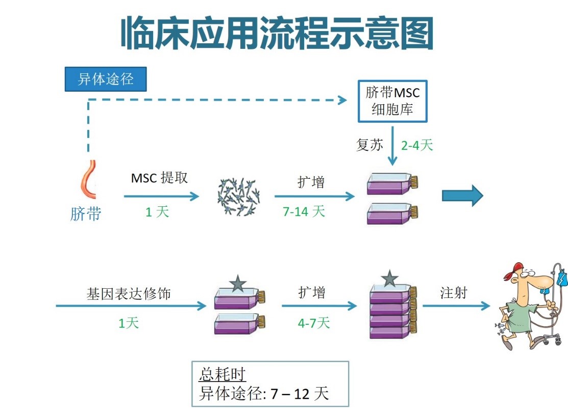 成果：以间充质干细胞为载体的癌症免疫治疗方法-上海交大科研合作平台