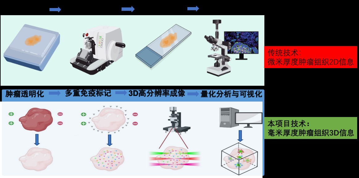 基于肿瘤全组织分析的癌症精准诊断技术