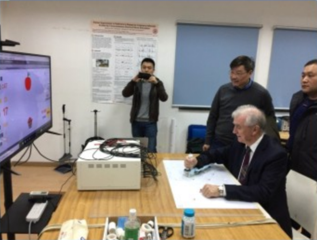 脑卒中上肢神经电刺激康复治疗系统